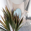 Detailansicht des Topfes der Dracaena 120 cm auf Laminatboden.