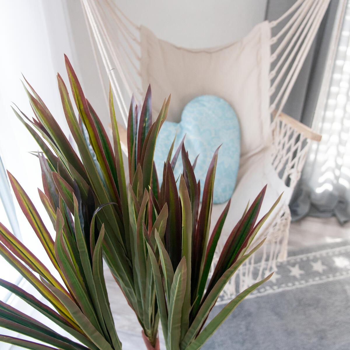 Detailansicht des Topfes der Dracaena 120 cm auf Laminatboden.