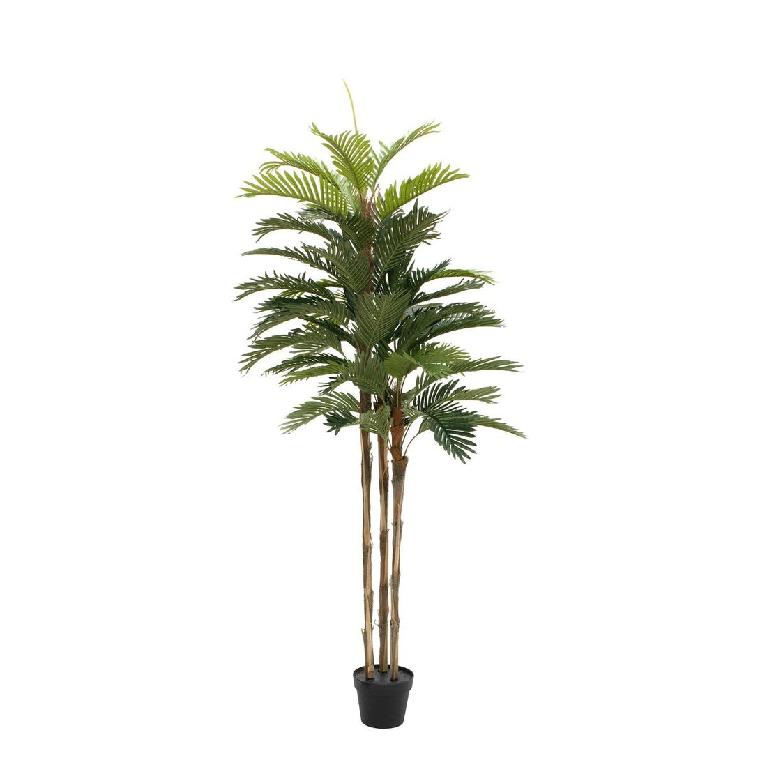 Künstliche Kentia Palme 150 cm – Studioaufnahme der ganzen Pflanze